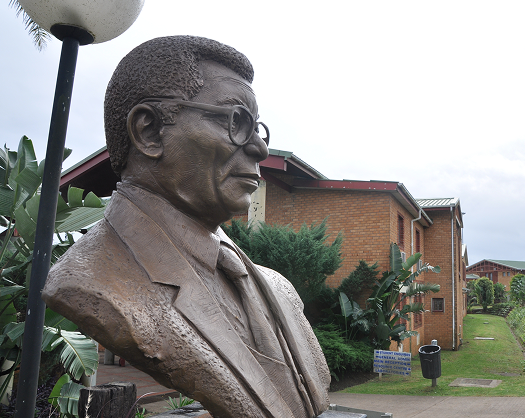 iYunivesithi Walter Sisulu vision